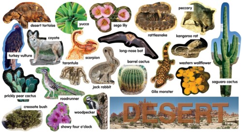 Desert Plants & Animals