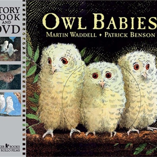 Owl Babies: Paperback with DVD