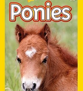 National Geographic Readers: Ponies