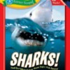 Sharks! (Time For Kids)