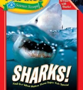 Sharks! (Time For Kids)