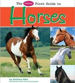 Horses (Pebble First Guides)