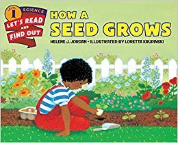 How a Seed Grows (Let's-Read-And-Find-Out Science: Stage 1)
