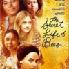 The Secret Life of Bees [DVD]