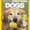 Everything Dogs