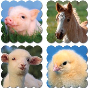 Baby Farm Animals Scratch 'n Sniff Stickers