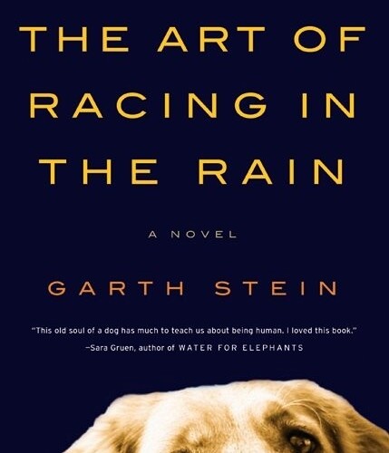 The art of racing in the rain