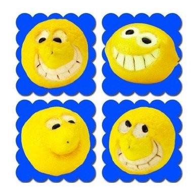 Photo Fruit Scratch N Sniff Stickers – Lemon