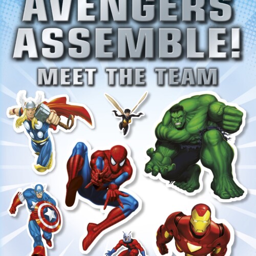 Avengers assemble! Meet the team. Sticker book