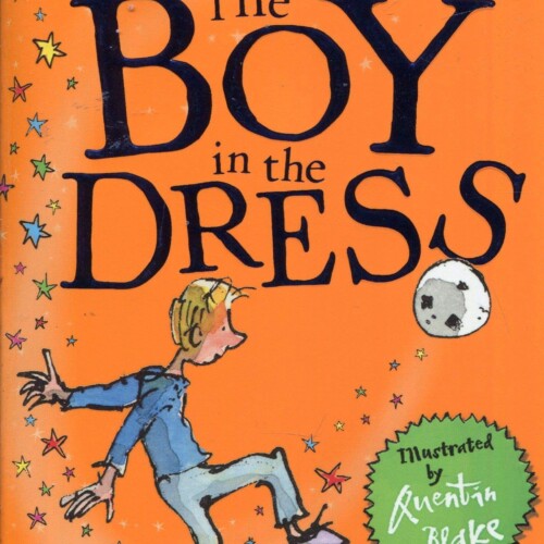 David Walliams - The boy in the dress