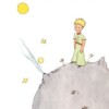 Der Kleine Prinz