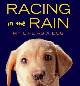 Racing in the rain (my life as a dog)