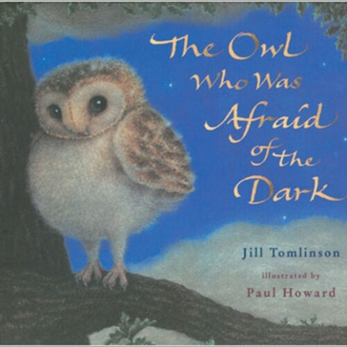 The owl who was afraid of the dark