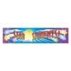 Star students Giant Banner