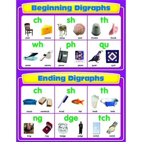 Beginning and ending digraphs CD114067