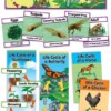 Life Cycles Mini Bulletin Board Set