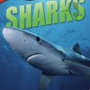 Animal Lives: Sharks