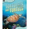 Animal Lives: Tortoises and turtles