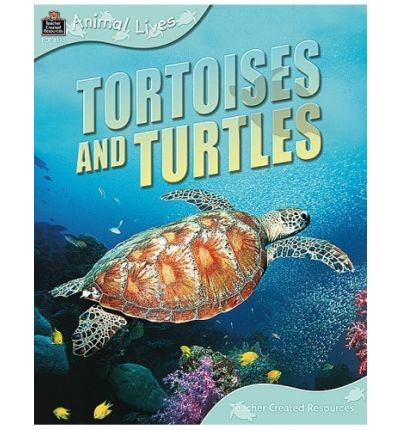 Animal Lives: Tortoises and turtles