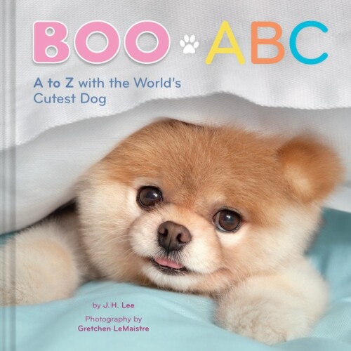 Boo ABC (A to Z with world's cutest dog)