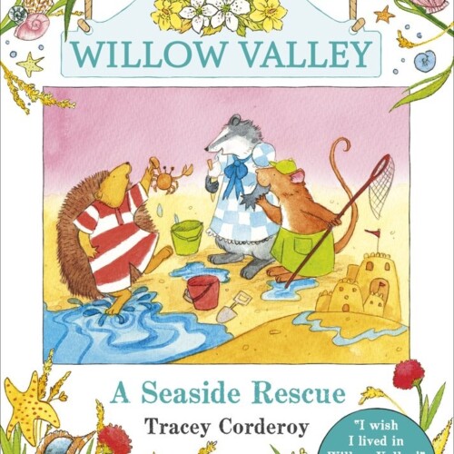 A Seaside Rescue (Willow Valley)