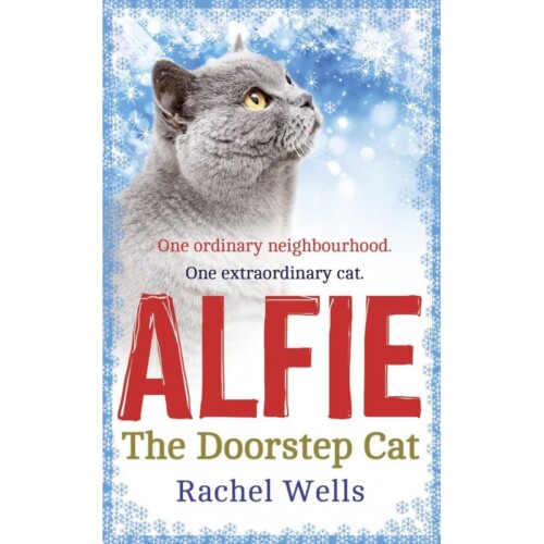 Alfie the doorstep cat