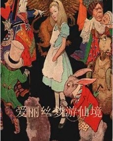 Alice's in wonderland (Chinese Edition)