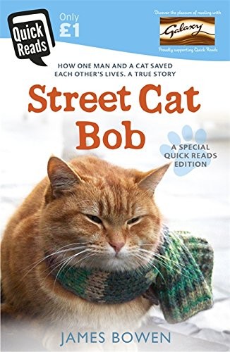 Stree cat Bob BWD