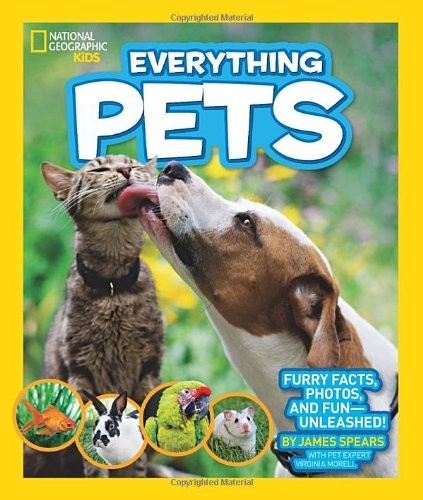 Everything pets