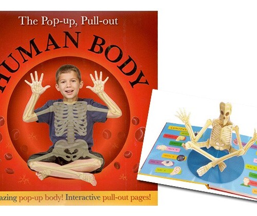 Pop-Up, Pull-Out Human Body