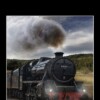 The Thirty-Nine Steps (Wordsworth Classics)