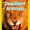National Geographic - Deadliest animals