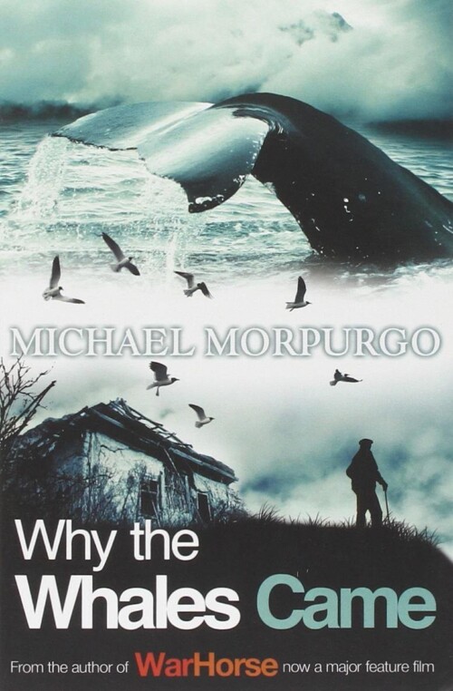 Why the Whales Came