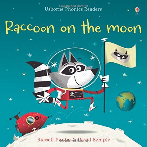 Raccoon on the moon