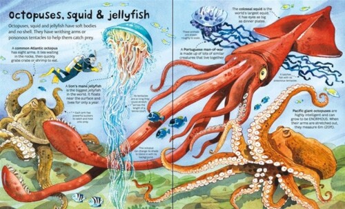 Big book of big sea creatures