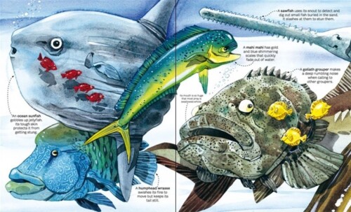 Big book of big sea creatures