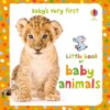 Little book of baby animals