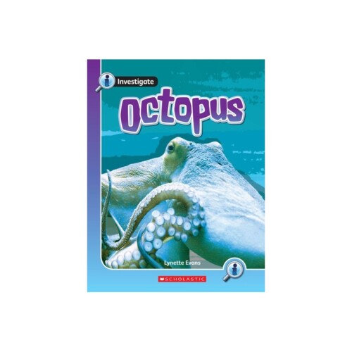 Octopus