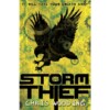 Storm thief