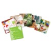 Snapshots™ Critical Thinking Photo Cards, Grades PreK–K