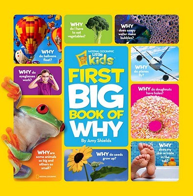 First big book of why