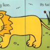 That's Not My Lion
