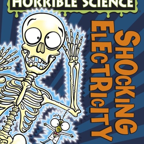 Shocking Electricity (Horrible Science)