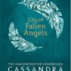 City of Fallen Angels (The Mortal Instruments 4)