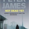 Not Dead Yet (Roy Grace)