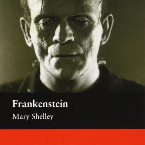 Frankenstein: Elementary Level (Macmillan Readers)