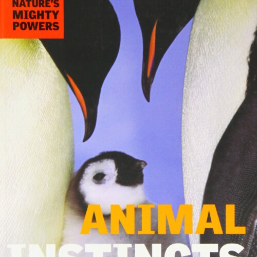 Animal instincts