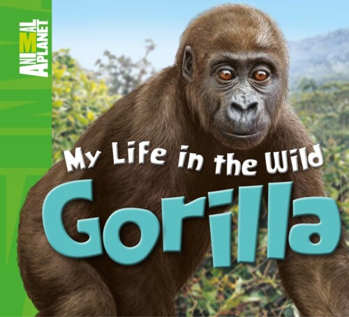 My life in the wild: Gorilla