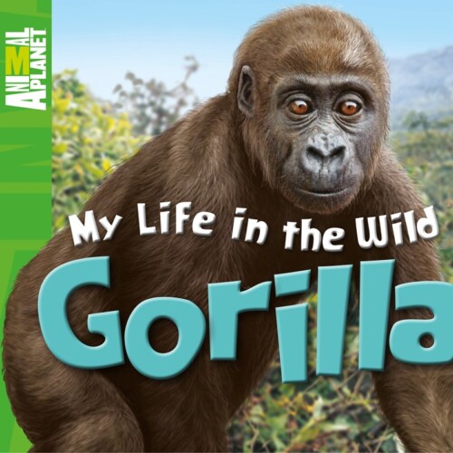 My life in the wild: Gorilla