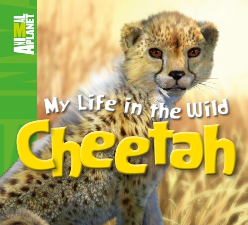 My life in the wild: Cheetah